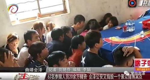 会泽新闻爆料最新消息今天,突发！今日最新事件详情揭晓