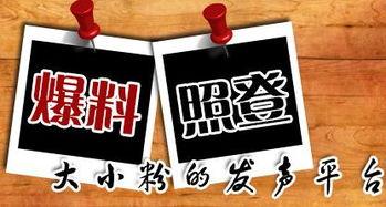 屯子最新爆料新闻,揭秘惊人内幕，事件真相令人震惊